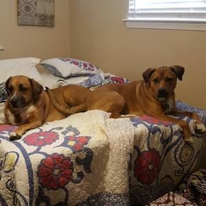 Meet your Posher, Diane